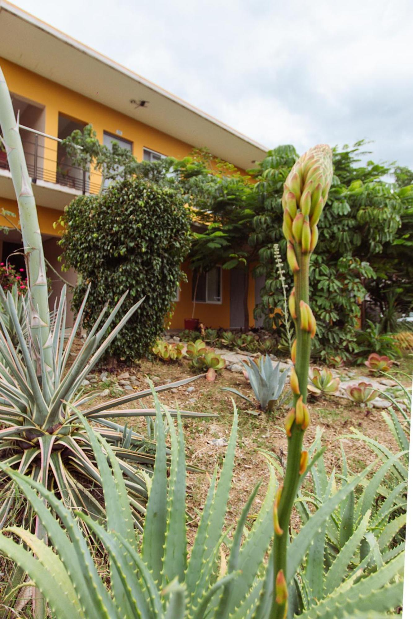 Hotel Guivá San Pablo Hacienda Blanca Esterno foto